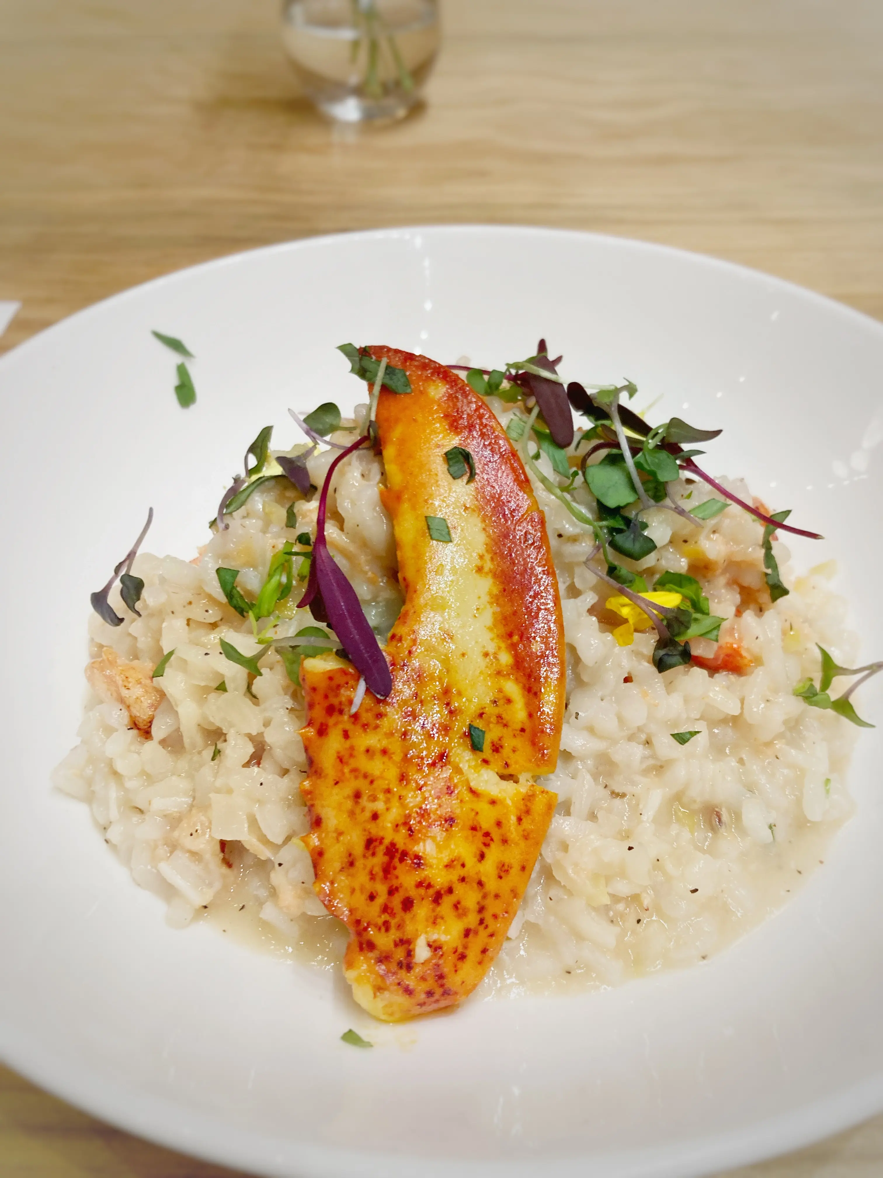 A coooked lobster claw on a plate with risotto and fresh herbs at Duke's Dining Hall